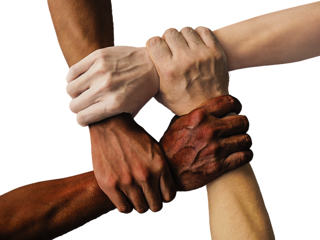 Diverse team collaborating on an online project